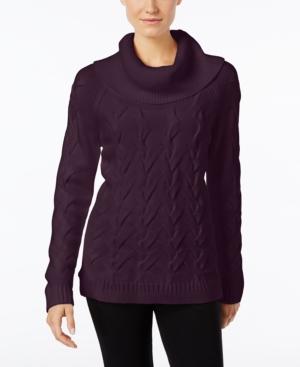 Calvin Klien-twist Cowl Twist Cable Sweater