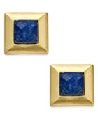 Stephanie Kantis Gold-tone Framed Square Stone Stud Earrings