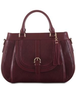 Brahmin Raelynn Tart Tolkien Satchel