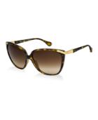 D & G Sunglasses, Dd8096