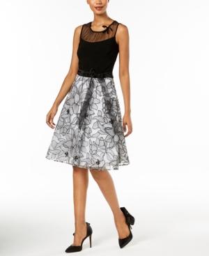 Sl Fashions Mesh & Floral Embroidered Dress