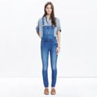 Madewell Skinny Overalls In Camila Wash