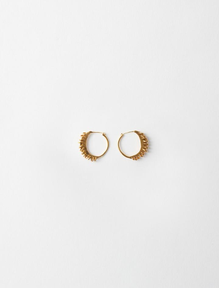 Maje Gold-plated Small Earrings With Rings