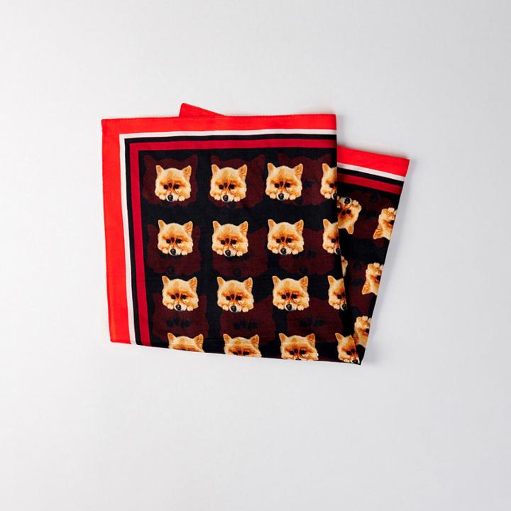 Maje Silk Scarf