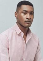 Mango Man Mango Man Slim-fit Bengal Stripe Shirt