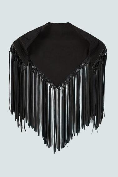 Mango Fringes Embroidered Scarf
