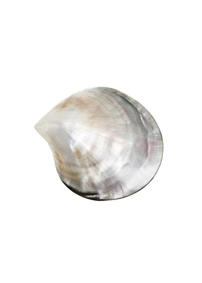 Violeta By Mango Violeta By Mango Seashell Brooch