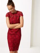 Marks & Spencer Lace Cap Sleeve Bodycon Midi Dress Cranberry