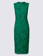Marks & Spencer Cotton Rich Floral Lace Bodycon Dress Green