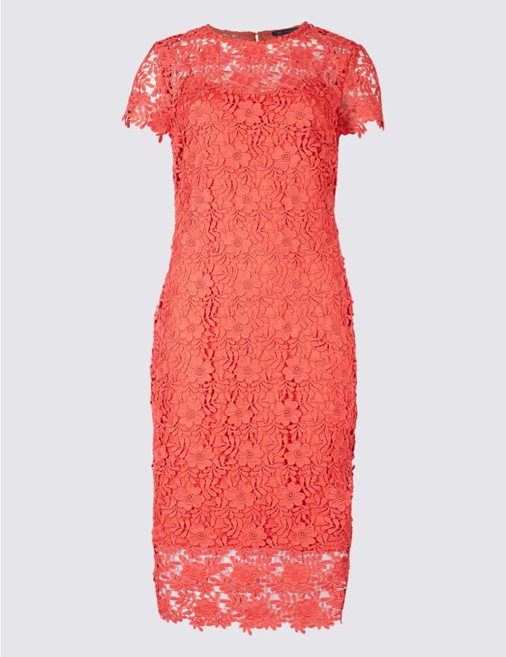 Marks & Spencer Lace Short Sleeve Bodycon Midi Dress Coral