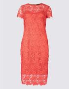 Marks & Spencer Lace Short Sleeve Bodycon Midi Dress Coral