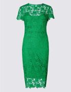Marks & Spencer Lace Sheath Short Sleeve Bodycon Midi Dress Green