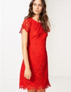 Marks & Spencer Lace Short Sleeve Skater Dress Chilli