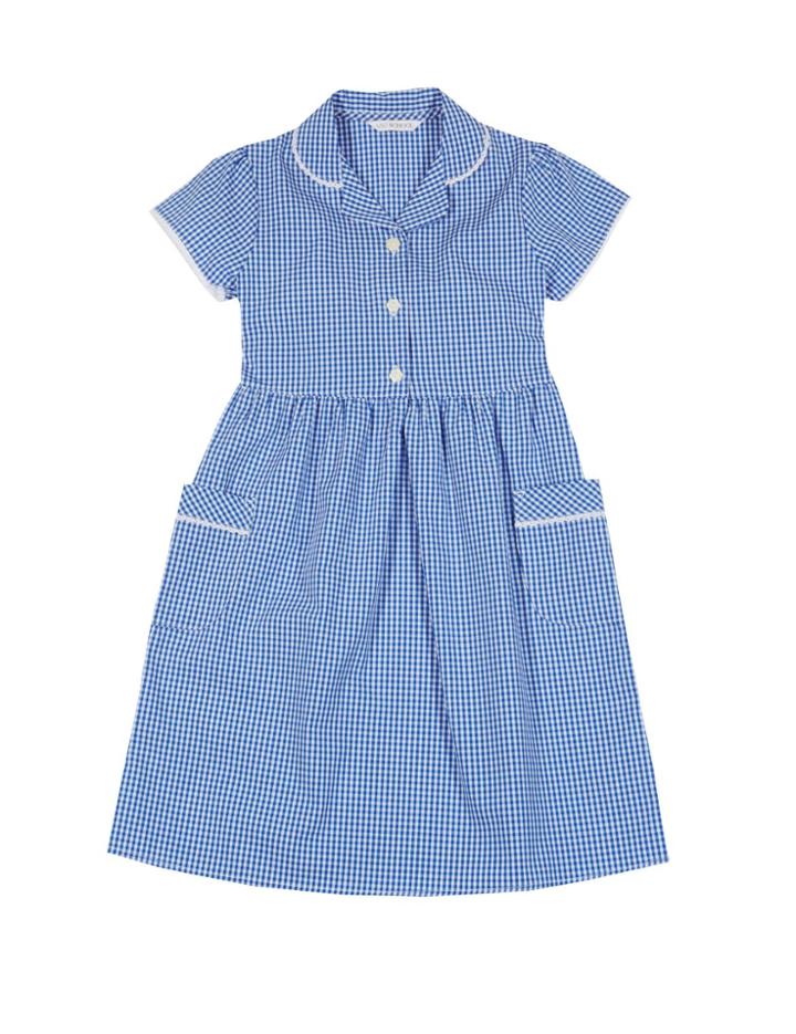 Marks & Spencer Plus Gingham Pure Cotton Dress (2-14 Years) Blue
