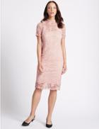 Marks & Spencer Floral Lace Short Sleeve Bodycon Dress Blush
