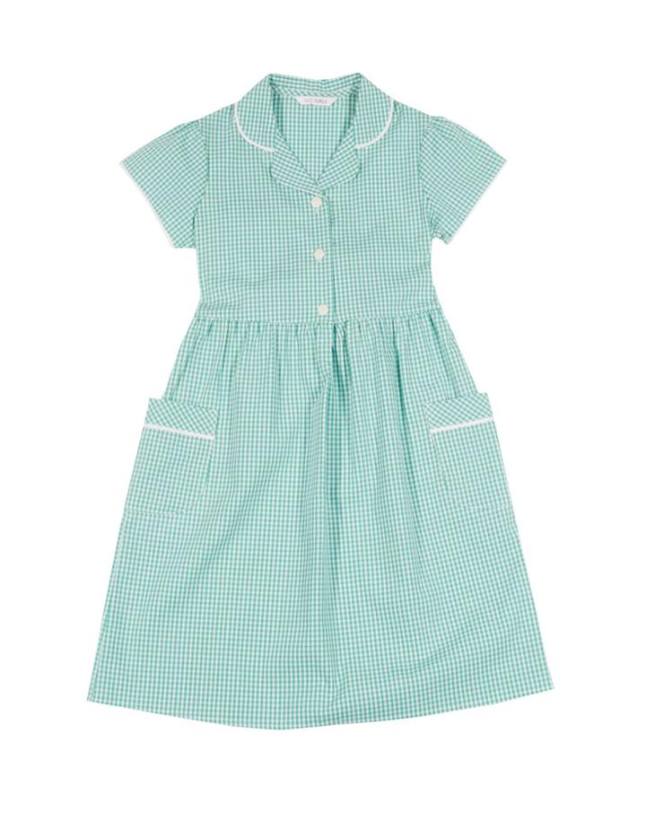 Marks & Spencer Plus Gingham Pure Cotton Dress (2-14 Years) Green