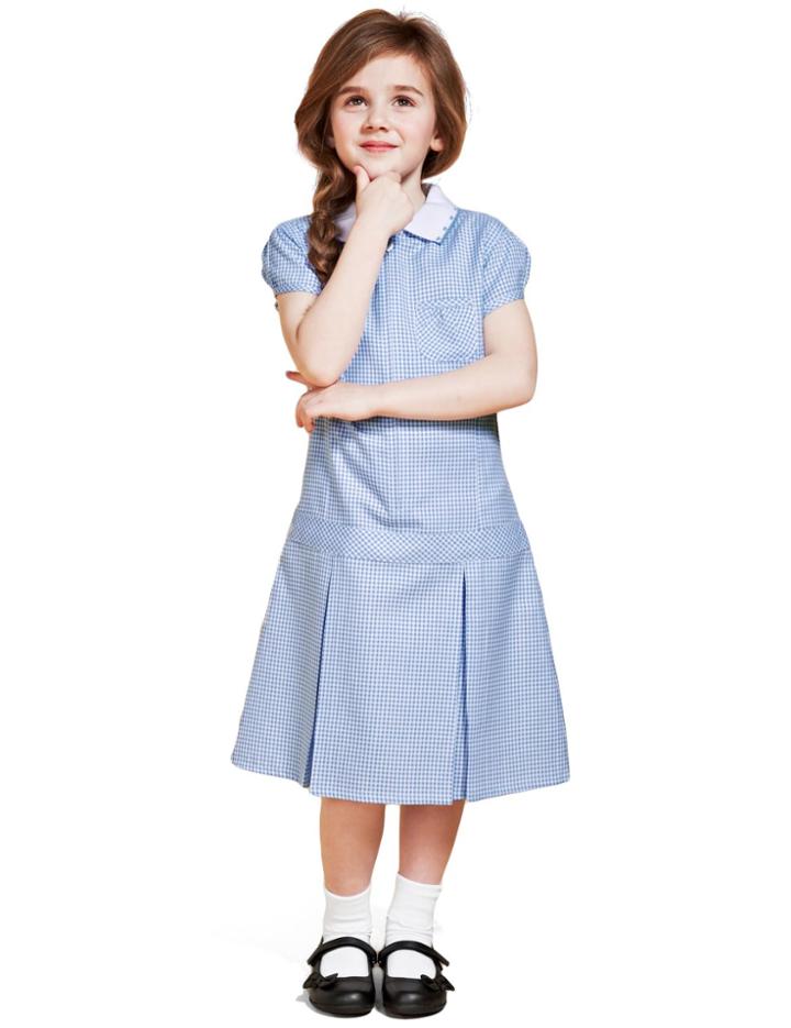 Marks & Spencer Gingham Pleated Dress (2-14 Years) Blue