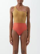 Casa Raki - Ines One-shoulder Panelled Swimsuit - Womens - Green Red