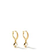 Matchesfashion.com Jade Trau - Sophisticate Diamond & 18kt Gold Huggie Earrings - Womens - Yellow Gold