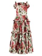 Dolce & Gabbana Peony And Rose-print Cotton Poplin Dress