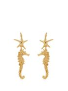 Matchesfashion.com Oscar De La Renta - Starfish Earrings - Womens - Gold