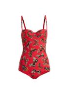 Matchesfashion.com Dolce & Gabbana - Butterfly Print Balconette Swimsuit - Womens - Red Multi
