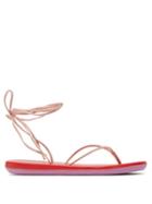 Matchesfashion.com Ancient Greek Sandals - Spaghetti Wrap Around Sandals - Womens - Pink Multi