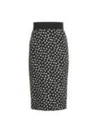 Dolce & Gabbana Micro Rose-print Cady Pencil Skirt
