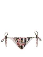 Dolce & Gabbana Rose-print Tie-side Bikini Briefs
