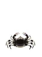 Matchesfashion.com Art School - Crab Crystal-embellished Silver Brooch - Womens - Black