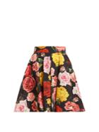 Dolce & Gabbana Rose-print Cotton Skirt