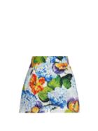 Dolce & Gabbana - High-rise Floral-print Poplin Shorts - Womens - Blue Multi