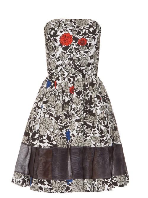 Sophie Theallet Lindsay Floral-print Strapless Dress