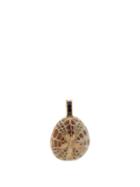 Matchesfashion.com Dezso - Sapphire & 18kt Gold Sea-urchin Fossil Charm - Womens - Brown Multi