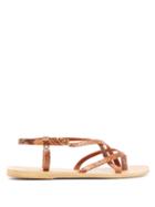 Matchesfashion.com Ancient Greek Sandals - Semele Buckled Python Effect Leather Sandals - Womens - Brown Multi