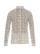 Richard James Butterfly-print Cotton Shirt