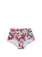 Matchesfashion.com Dolce & Gabbana - Pansy-print High-rise Bikini Briefs - Womens - Multi