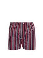 Matchesfashion.com Derek Rose - Royal Striped Cotton Boxer Shorts - Mens - Navy