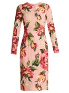 Dolce & Gabbana Round-neck Rose-print Crepe-cady Dress