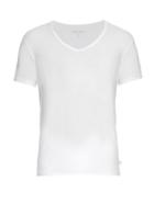 Derek Rose Pima-cotton V-neck T-shirt