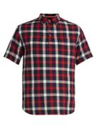 Barena Venezia Point-collar Short-sleeved Checked Cotton Shirt