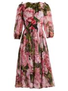 Dolce & Gabbana Rose-print Chiffon Dress