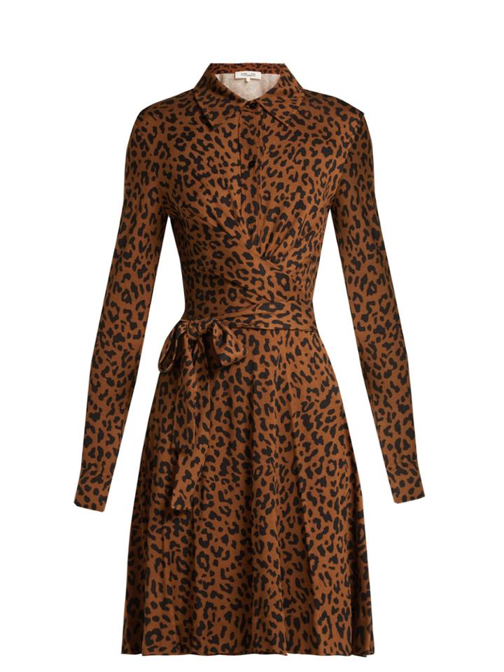 Diane Von Furstenberg Didi Leopard-print Silk Wrap Dress