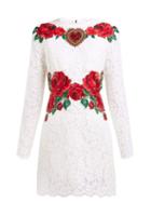 Matchesfashion.com Dolce & Gabbana - Rose Embroidered Lace Mini Dress - Womens - White Multi