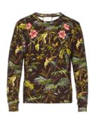 Gucci Tropical-print Floral-appliqu Cotton Sweatshirt