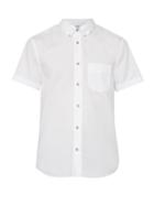 Matchesfashion.com Acne Studios - Isherwood Short Sleeved Cotton Shirt - Mens - White