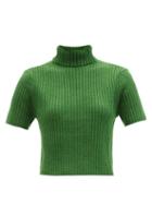 Staud - Lilou Roll-neck Ribbed Merino Wool-blend Top - Womens - Green