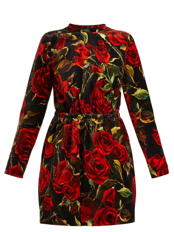 Dolce & Gabbana Rose-print Velvet Dress