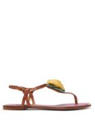 Matchesfashion.com Dolce & Gabbana - Rose-appliqu Leather Sandals - Womens - Tan Multi