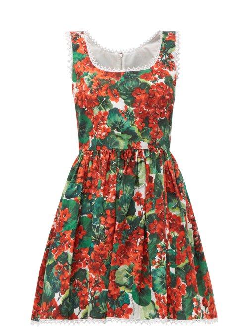Matchesfashion.com Dolce & Gabbana - Geranium Print Cotton Mini Dress - Womens - Red Multi